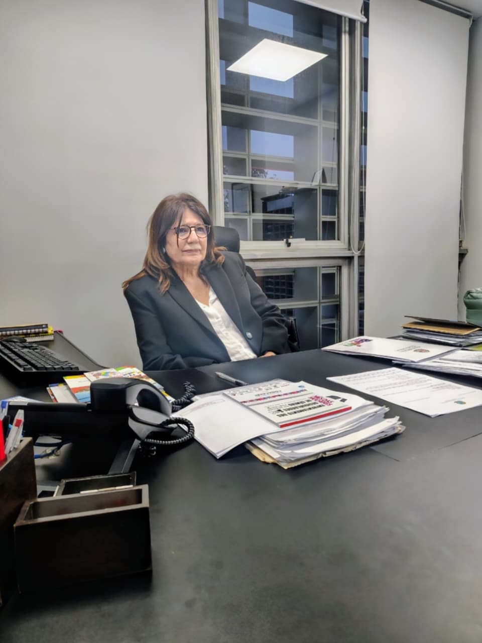 Reunião Deputada Beth Sahão